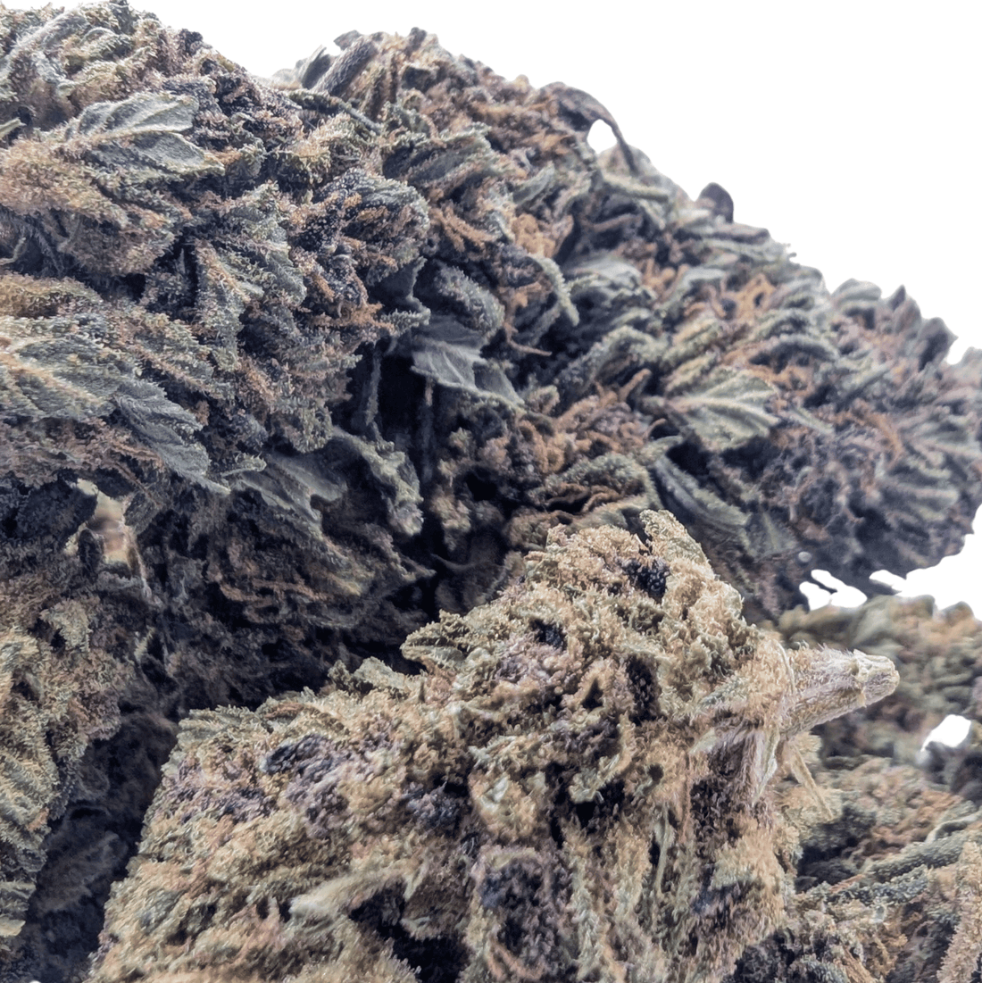 PINK BERRY — 16% CBD