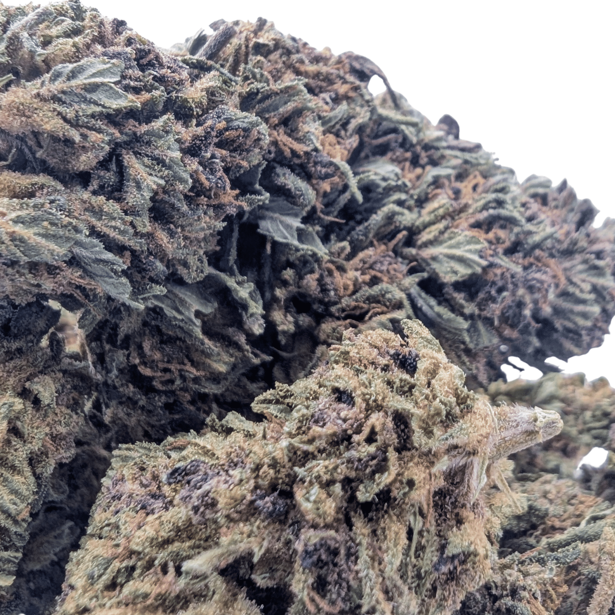 PINK BERRY CBD 🍓