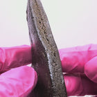 résine black afghan 33% cbd en video