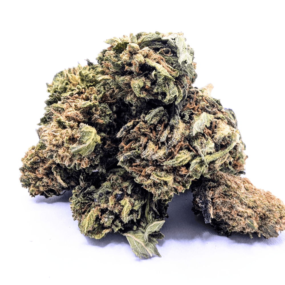 Têtes de Royal OG small bud 16% CBD Glasshouse Suisse sur fond clair