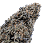 Fleur CBD Tropical Ghost 16% — Glasshouse